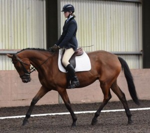 Class 4 winners Joshi J and Amy Neill - Photo by Equi-Tog