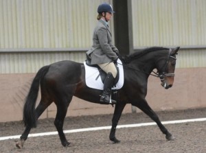 Mossbrook Ferrelle and Sylvia Henry top of Class 3 - Photo by Equi-Tog