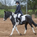 Christine has a ‘Hoot’ at Mill Yard’s Dressage Competition