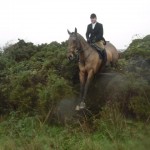 Martin Mellet clearing one of the hedge jumps