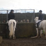 Rachel Kelly and Emma Wright chatting to the hounds