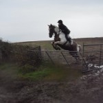 Rosemary Moffett on the Jarvy clearing the 5 bar gate