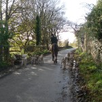 Huntsman Jonny Butler leads the way