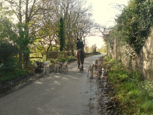 Huntsman Jonny Butler leads the way