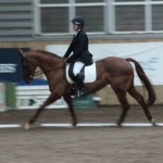 Ravensdale Lodge Equestrian & Event Centre Results