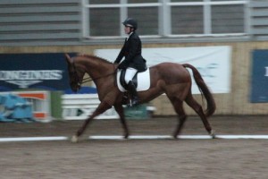 Class 4 winners at Ravensdale Lodge on Sunday, Jaemi Cochrane & Kilpatrick Honey at their peak during the O' Reillys Wholesalers Newry indoor dressage league, Photo: Niall Connolly