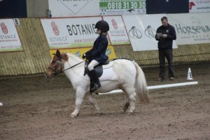 Laura Mc Kevitt & Awesome Angus competing in class 1 at the O' Reillys Wholesalers Newry indoor dressage league on Sunday at Ravensdale Lodge with a little help from Dad Gareth who is reading the test for her.