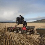 Jazz Horses Martin Mellet jumps quad with ease