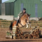 Successful Working Hunter for Mill Yard