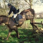 Anthea Moffett on George clearing the rustic pole