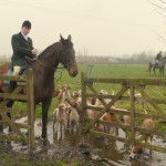 Hounds waiting patiently with Huntsman Jonny Butler