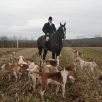 Huntsman Jonny Butler with hounds