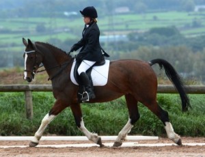 Kirsty Marsden and "Laurel View Cherry" take second place in Class 4.