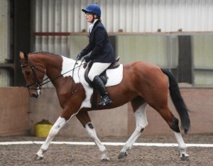 "Tick-It" and Penny Murphy take home 1st for Class 3.