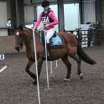 Lois Larmour and Brandy do some nifty turns. Photo by Equi-Tog