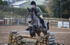 Class 4 Winner (and Reserve Champion)  Joanna Lynsey on Minstral Photo: AP Photography