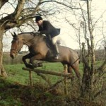 Mike Alcorn clearing the rustic pole