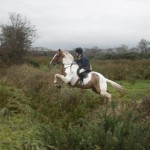 Rosemary Moffett on The Jarvy leaping the ditch