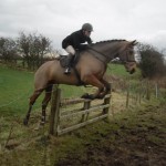 Simon Carson clearing the fence