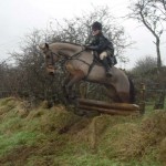 Olivia Quinn on Harry clearing the fence