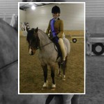 Ross House Equestrian Holidays EquiFestival Qualifiers