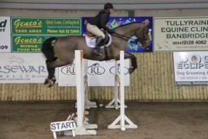 Tom Hearne on board "Guinness" flying high in the 1.20m class at Thursday's horse training show at Ravensdale Lodge.
