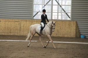 Moorhill Saddlery's Denise Kelly in action in class 2 at Ravensdale Lodge on Sunday afternoon during the indoor dressage league held at the centre.