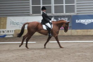 Emma Hobson & Parful Jack had a good afternoon at Ravensdale Lodge picking up a first, second & third place in her three classes at the centre's indoor dressage league Photo: Niall Connolly.