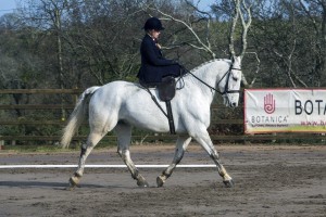 Riding in Class 2– Robyn Catterall on Artic Eclipse