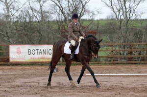 Winner of Class 2 – Claire Liddle on Frenchfort Jackson