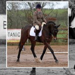Dressage For All Spring Final at Mill Yard