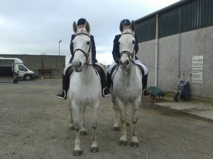  sisters Heather & Ruth Black make a welcome return to competing with Platinum Lily & Hee Haw Henry