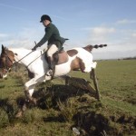 Gerard McCloskey on Rio clears the fence