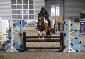 Jane Richardson go clear in the 85cm class at Ravensdale Lodge on Saturday during the Mackins Horse Feeds indoor arena eventing league Photo: Niall Connolly.