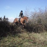 Olivia Quinn on Bella at the drop fence