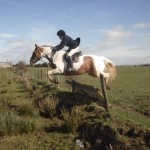 Rosemary Moffett clears the fence on The Jarvy