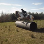 Rosemary Moffett on The Jarvy clearing the fence