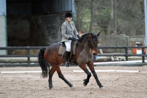 Helen Faulkner riding Polo to placings in the novice and elementary classes at Knockagh View (photo's by Caroline Grimshaw Equestrian News NI)