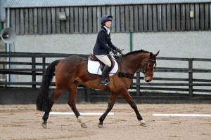 Nadine McClelland riding Lucey in Intro A at the first week of Knockagh View's dressage league (photo's by Caroline Grimshaw Equestrian News NI)