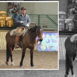 Ravensdale Spectators Enjoy Ricky Quinn Horsemanship Clinic