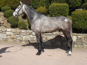 Lot 152 -reached €6k