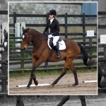 Knockagh View Dressage League Starts This Sunday
