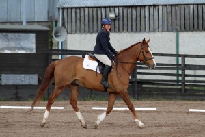 Anne Hill riding prelim 4 in front of judge Lynsey Craig: Photo Caroline Grimshaw