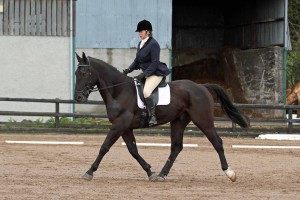 Karen Dickson riding Blue in Intro B: Photo Caroline Grimshaw