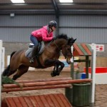 Ursula Bamford and Daisy competing in the 90cm class at Knockagh View's jump cross Photo AP Photography