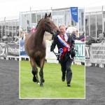 Wednesday 14th May Showing Results from Balmoral Show