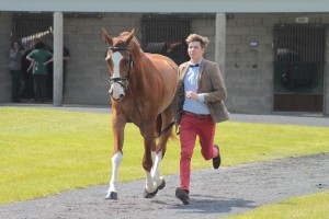 Last years best dressed male was Harold Megahey pictured here with Seapatrick Cruise Cavalier