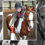 “Egg”cellent Show at Laurel View Equestrian Centre