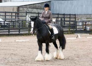 Judith Watt and Jazz just completing their test in class 1 at Knockagh view's dressage league Photo: AP Photography