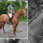 Ross House Equifestival working hunter May Day show results